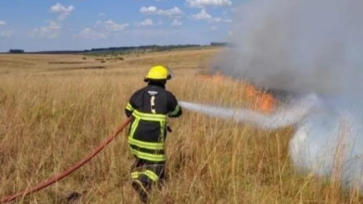 “Produtores desesperados cortando cercas”, diz presidente da Associação dos Arrozeiros de Alegrete sobre queimadas