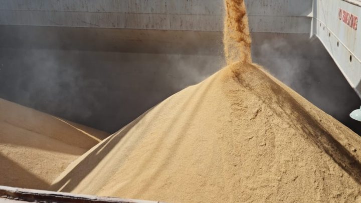 Federarroz orienta produtores sobre acesso ao PEP e Pepro e reforça importância das exportações