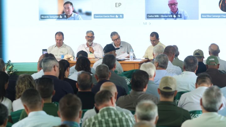 Federarroz anuncia ações judiciais contra fraudes na tipificação do arroz