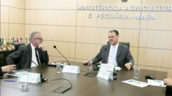 Federarroz/RS reforça defesa do arroz gaúcho em audiência com o Ministério da Agricultura