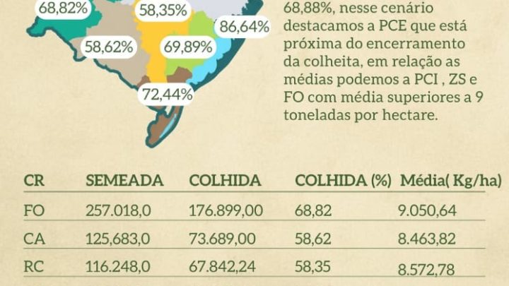 Exportações de arroz otimizadas em março e garantem saldo positivo na balança comercial